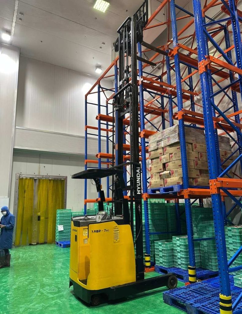 Xe nâng Reach Truck giá kệ Drive In