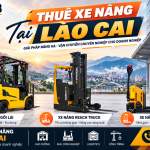 Thuê xe nâng tại Lào Cai