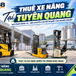 Thuê xe nâng tại Tuyên Quang